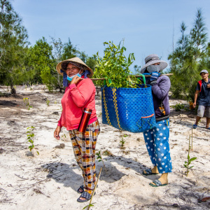 Vietnam-Trees-for-All-10-1440x0-c-default (1).jpg